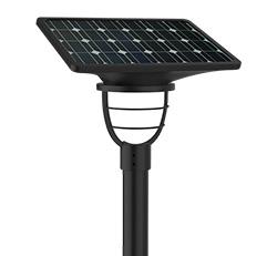 bee-function-pic250jpg