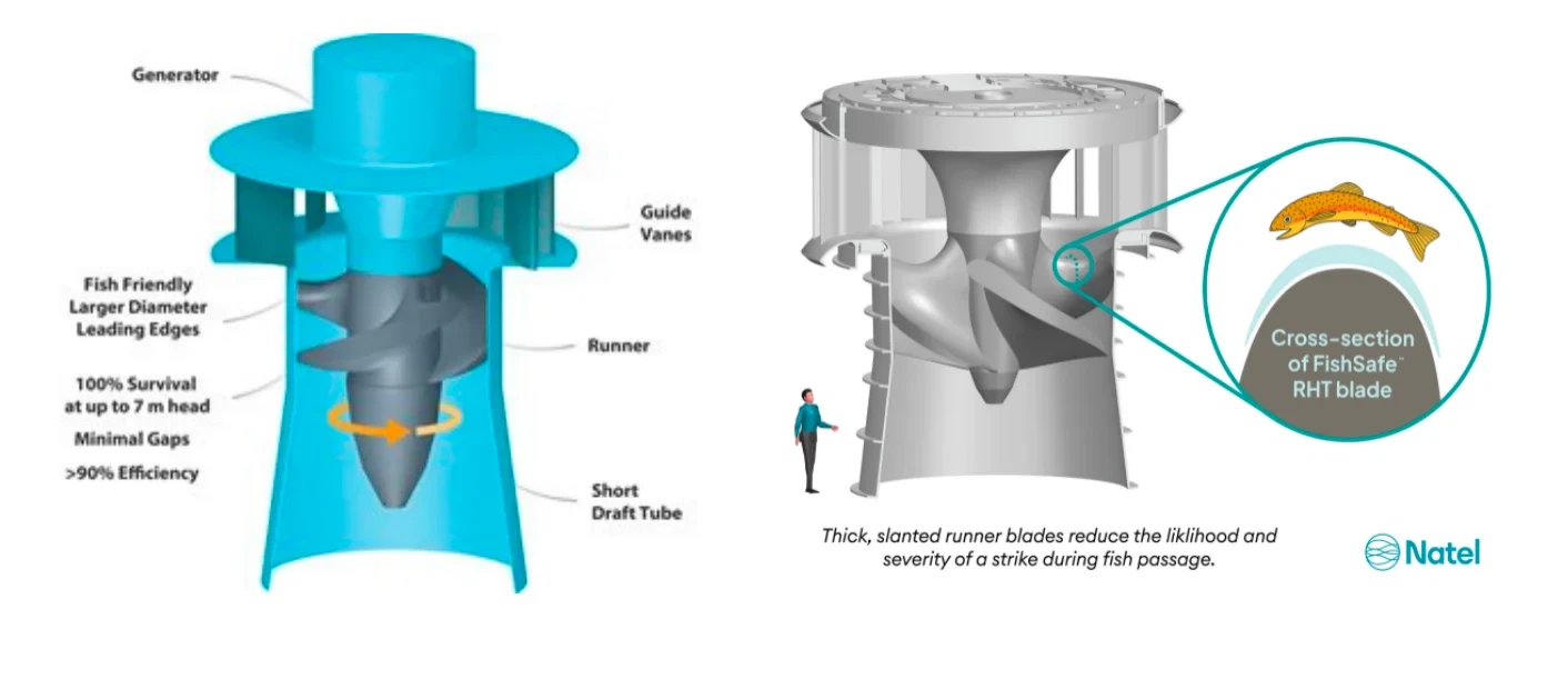 image - 2025-12-19T170452738