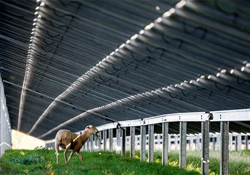 EU Solar Energy Rollout Slows For First Time in Decade As Subsidies Cut