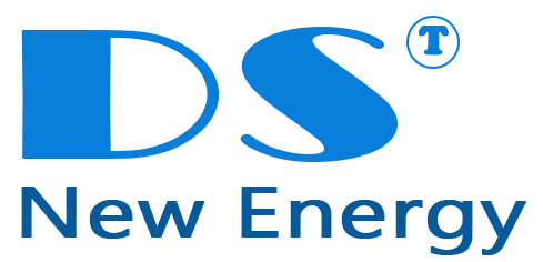 DS New Energy